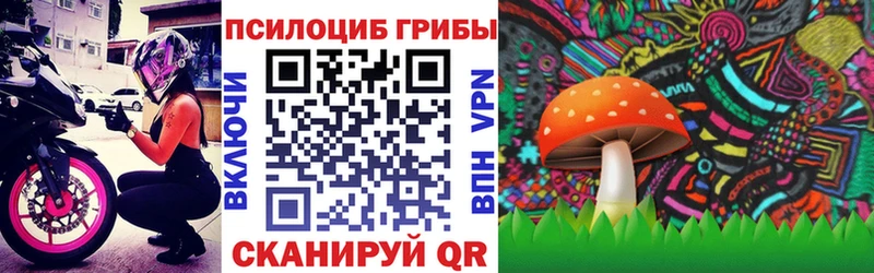 OMG как зайти  Назарово  Псилоцибиновые грибы ЛСД  наркотики 